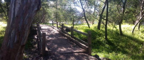 COMFORT INN COACH AND BUSHMANS - Accommodation Burleigh 4