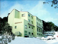 Cedarwood Apartments - Accommodation Burleigh 0