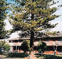 Eastern Beach Holiday Units - Accommodation Burleigh