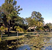 Twin Lakes Hotel - Accommodation Burleigh