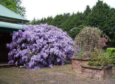 Heronswood House - Accommodation Burleigh 2