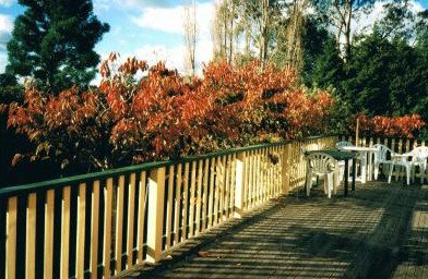 Heronswood House - Accommodation Burleigh 5