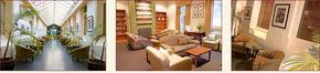 AnsoniA On Lydiard - Accommodation Burleigh 1