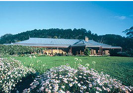 Jaspers Brush B And B - Accommodation Burleigh 2