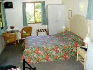 Kuranda Rainforest Accommodation Park - Accommodation Burleigh 2