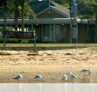 Best Western Coastal Waters Motor Inn - Accommodation Burleigh