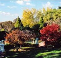 Edgelinks Bed And Breakfast - Accommodation Burleigh