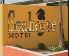 Seahorse Motel - Accommodation Burleigh 1