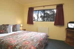 Summit Ridge Alpine Lodge - Accommodation Burleigh 1