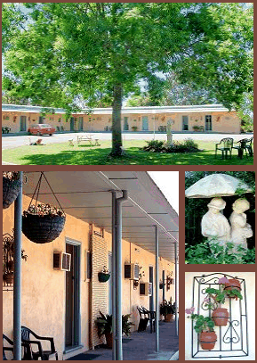 Arch Motel - Accommodation Burleigh 2