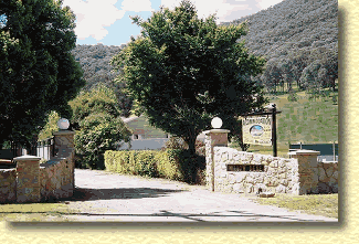 Willow Dene - Accommodation Burleigh 1