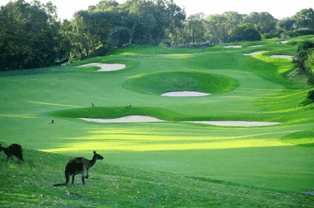 Joondalup Resort - Accommodation Burleigh 1