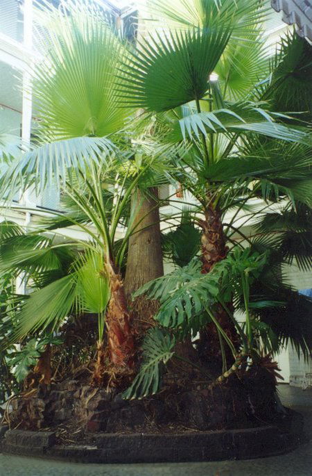 Plaza Hotel - Accommodation Burleigh 2