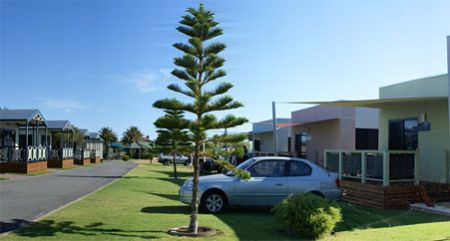 Discovery Parks -Adelaide Beachfront  - Accommodation Burleigh 1