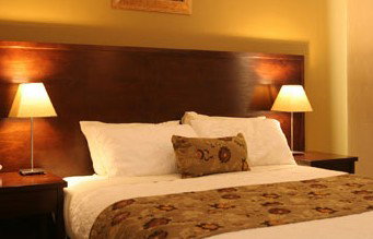 Whale Motor Inn - Accommodation Burleigh 1