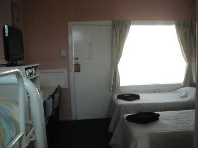 The Tree Motel - Accommodation Burleigh 2