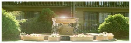 Best Western Tall Trees Motel - Accommodation Burleigh 2