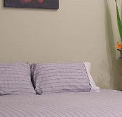 Stingo Hotel - Accommodation Burleigh