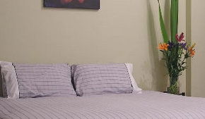 Stingo Hotel - Accommodation Burleigh 0