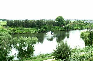 Windsor Terrace Motel - Accommodation Burleigh 1