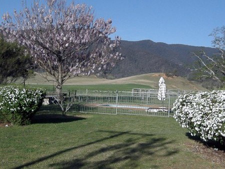 Araluen Old Courthouse - Accommodation Burleigh 0