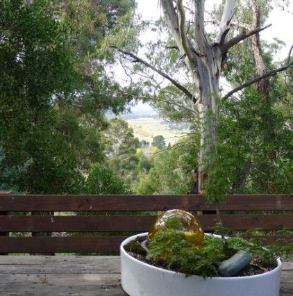 Bimblegumbie B And B - Accommodation Burleigh 0