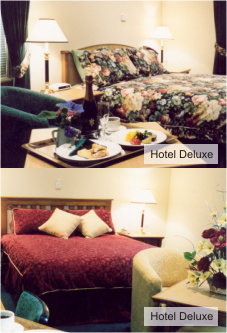 Loxton Community Hotel Motel - Accommodation Burleigh 0