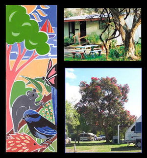 Bushland Cabins - Accommodation Burleigh 0