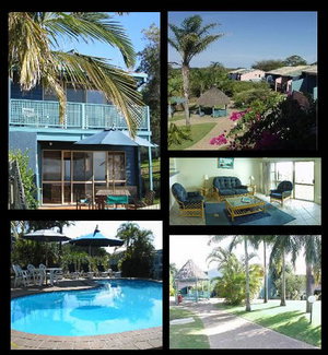 Pandanus Palms Resort - Accommodation Burleigh 1