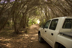 Nampara Cabins - Accommodation Burleigh 1