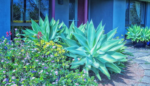Possum Creek Lodge - Accommodation Burleigh 2