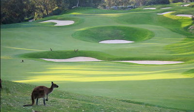 Joondalup Resort - Accommodation Burleigh 9