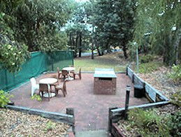 Collie Forest Motel - Accommodation Burleigh 4