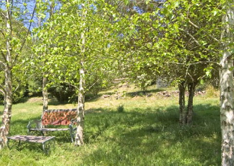 Tomah Mountain Lodge - Accommodation Burleigh 2