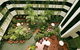 Novotel Atrium Darwin - thumb 2