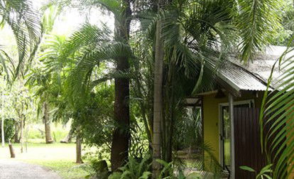 Rum Jungle Bungalows - Accommodation Burleigh 3