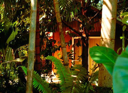 Rum Jungle Bungalows - Accommodation Burleigh 5