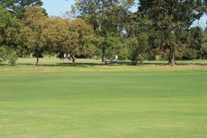 Beach Motor Inn - Accommodation Burleigh 7