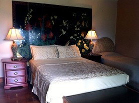 Daintree Manor - Accommodation Burleigh 0