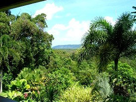 Daintree Manor - Accommodation Burleigh 3