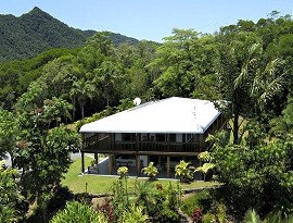 Daintree Manor - Accommodation Burleigh 4