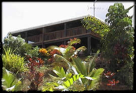 Daintree Manor - Accommodation Burleigh 5