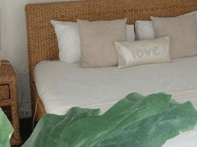 Caledonian Inn - Accommodation Burleigh