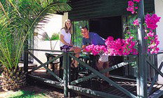 Desert Palms Resort - Accommodation Burleigh 3
