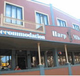 Harp Deluxe Hotel - Accommodation Burleigh