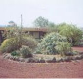 Beaufort Motel - Accommodation Burleigh