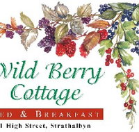 Wild Berry Cottage - Accommodation Burleigh
