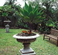 Bangalow Retreat - Accommodation Burleigh