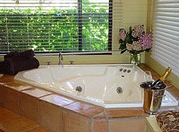 Treetops Bed & Breakfast - Accommodation Burleigh 1