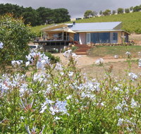 The Blue Grape Vineyard Accommodation - Accommodation Burleigh